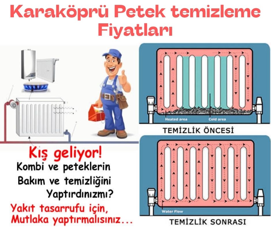 Kuşadası Petek Temizleme Fiyatları 